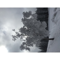 รูปถ่าย ฝรั่งเศส(France) เมแฌฟว์(Megeve) 2016-02 14