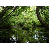 รูปถ่าย ญี่ปุ่น(Japan) โตเกียว(Tokyo) พิพิธภัณฑ์เนซุ(Nezu Museum) 2010-06 57