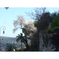 รูปถ่าย ฝรั่งเศส(France) มูแก็งส์(Mougins) 2006-02 36