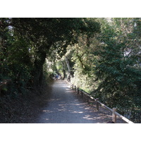 รูปถ่าย ฝรั่งเศส(France) วีลเนิฟ-ลูแบ(Villeneuve Loubet) 2006-10 19