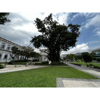รูปถ่าย สิงคโปร์(Singapore) สวนฟอร์ตแคนนิง(Fort Canning Park) 2023-01 1