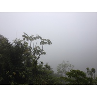 รูปถ่าย ปานามา(Panama) จากดาบิดไปโบกัสเดลโตโร(David to Bocas del toro) 2015-03 86