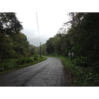 รูปถ่าย คอสตาริกา(Costa Rica) ปวยร์โตเบียโฆเดตาลามังกา(Puerto Viejo de Talamanca) 2015-03 72