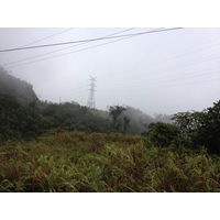 รูปถ่าย ปานามา(Panama) จากดาบิดไปโบกัสเดลโตโร(David to Bocas del toro) 2015-03 68