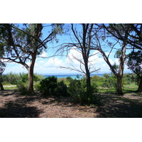 รูปถ่าย ฝรั่งเศส(France) เกาะปอร์เกอรอล(Porquerolles Island) ที่ราบกูร์ตาด(Plaine de la courtade) 2008-05 33