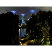 รูปถ่าย สิงคโปร์(Singapore) การ์เดนส์บายเดอะเบย์(Garden by the bay) 2023-01 23