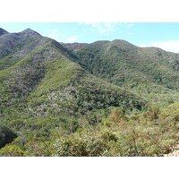รูปถ่าย นิวแคลิโดเนีย(New Caledonia) ถนนจากทีโอไปกานาลา(Thio to Canala road) 2010-05 32