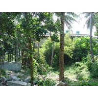 รูปถ่าย ไทย(Thailand) ภูเก็ต(Phuket) กะตะกะรน(Kata Karon) 2005-12 55