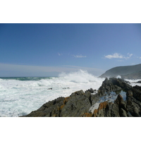 รูปถ่าย แอฟริกาใต้(South Africa) อุทยานแห่งชาติซิตซิคัมมา(Tsitsikamma National Park) 2008-09 86