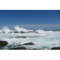 รูปถ่าย แอฟริกาใต้(South Africa) อุทยานแห่งชาติซิตซิคัมมา(Tsitsikamma National Park) 2008-09 347