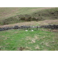 รูปถ่าย อังกฤษ(United Kingdom) อุทยานแห่งชาติเบรคอนบีคอนส์(Brecon Beacons National Park) 2006-05 32