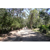 รูปถ่าย ฝรั่งเศส(France) เกาะปอร์เกอรอล(Porquerolles Island) ที่ราบกูร์ตาด(Plaine de la courtade) 2008-05 24