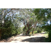 รูปถ่าย ฝรั่งเศส(France) เกาะปอร์เกอรอล(Porquerolles Island) ที่ราบกูร์ตาด(Plaine de la courtade) 2008-05 34