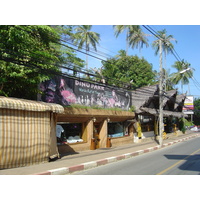 รูปถ่าย ไทย(Thailand) ภูเก็ต(Phuket) กะตะกะรน(Kata Karon) 2005-12 34