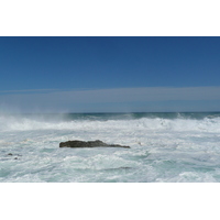 รูปถ่าย แอฟริกาใต้(South Africa) อุทยานแห่งชาติซิตซิคัมมา(Tsitsikamma National Park) 2008-09 61