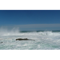 รูปถ่าย แอฟริกาใต้(South Africa) อุทยานแห่งชาติซิตซิคัมมา(Tsitsikamma National Park) 2008-09 51
