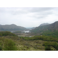รูปถ่าย ไอร์แลนด์(Ireland) เคอร์รี่(Kerry) สวนสาธารณะคิลลาร์นีย์เนชั่นเนล(Killarney National Park) 2004-05 1