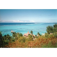 รูปถ่าย เฟรนช์โพลี่นีเซีย(Polynesia) 1993-04 3