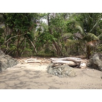 รูปถ่าย คอสตาริกา(Costa Rica) มอนเตซูมา(Montezuma) 2015-03 426