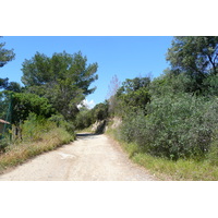 รูปถ่าย ฝรั่งเศส(France) เกาะปอร์เกอรอล(Porquerolles Island) แหลมแบร์ลีเยอ(Bearlieu Point) 2008-05 10