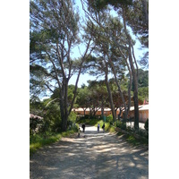 รูปถ่าย ฝรั่งเศส(France) เกาะปอร์เกอรอล(Porquerolles Island) แหลมแบร์ลีเยอ(Bearlieu Point) 2008-05 9
