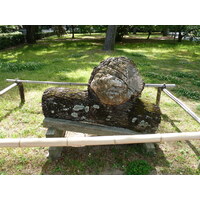 รูปถ่าย ญี่ปุ่น(Japan) เกียวโต(Kyoto) สวนเกียวโตเกียวเอ็ง(Kyoto Gyoen Garden) 2010-06 62