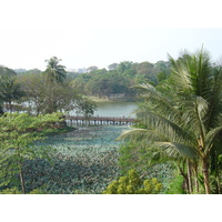 รูปถ่าย พม่า(Myanmar) ย่างกุ้ง(Yangon) โรงแรมกันดอจีพาเลซ(Kandawgyi Palace Hotel) 2005-01 38