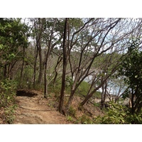 รูปถ่าย คอสตาริกา(Costa Rica) มอนเตซูมา(Montezuma) 2015-03 421