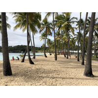 รูปถ่าย กวาเดอลูป(Guadeloupe) หาดลาการาแวล(La Caravelle Beach) 2021-02 128