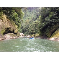 รูปถ่าย คอสตาริกา(Costa Rica) แม่น้ำปากัวเร(Pacuare River) 2015-03 78