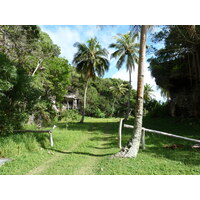 รูปถ่าย นิวแคลิโดเนีย(New Caledonia) เกาะลีฟู(Lifou) โยซิป(Josip) 2010-05 1