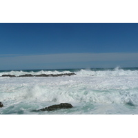 รูปถ่าย แอฟริกาใต้(South Africa) อุทยานแห่งชาติซิตซิคัมมา(Tsitsikamma National Park) 2008-09 471
