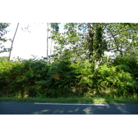 รูปถ่าย ฝรั่งเศส(France) ถนนริมทะเลสาบฌีรงด์(Gironde lakes road) 2007-08 8