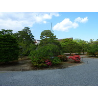รูปถ่าย ญี่ปุ่น(Japan) เกียวโต(Kyoto) พระราชวังหลวงเกียวโต(Kyoto Imperial Palace) 2010-06 131