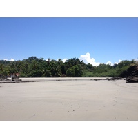 รูปถ่าย คอสตาริกา(Costa Rica) มานวยล์อันโตนีโอ(Manuel Antonio) 2015-03 77