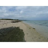 รูปถ่าย ฟิจิ(Fiji) ถนนจากนาดีไปนาตาโดลา(Nadi to Natadola road) 2010-05 98
