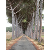 รูปถ่าย อิตาลี(Italy) ทัสคานี(Tuscany) 2021-09 14