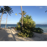 รูปถ่าย กวาเดอลูป(Guadeloupe) หาดลาการาแวล(La Caravelle Beach) 2021-02 131