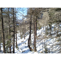 รูปถ่าย สวิสเซอร์แลนด์(Switzerland) จากปอนเตรซีนาไปลาโกเบียนโก(From Pontresina to Lago Bianco) 2007-01 8