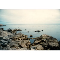 รูปถ่าย สหรัฐอเมริกา(United States) รัฐแคริฟอร์เนีย(California) 1992-08 11