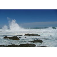 รูปถ่าย แอฟริกาใต้(South Africa) อุทยานแห่งชาติซิตซิคัมมา(Tsitsikamma National Park) 2008-09 419
