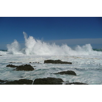 รูปถ่าย แอฟริกาใต้(South Africa) อุทยานแห่งชาติซิตซิคัมมา(Tsitsikamma National Park) 2008-09 475