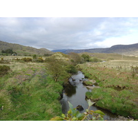 รูปถ่าย ไอร์แลนด์(Ireland) เคอร์รี่(Kerry) สวนสาธารณะคิลลาร์นีย์เนชั่นเนล(Killarney National Park) 2004-05 9