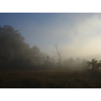 รูปถ่าย ไทย(Thailand) ปางมะผ้า(Pang Mapha) 2005-12 203