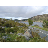 รูปถ่าย ไอร์แลนด์(Ireland) เคอร์รี่(Kerry) สวนสาธารณะคิลลาร์นีย์เนชั่นเนล(Killarney National Park) 2004-05 37