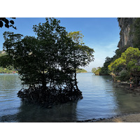 รูปถ่าย ไทย(Thailand) กระบี่(Krabi) 2023-01 187
