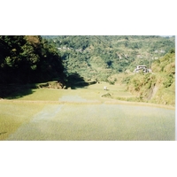 รูปถ่าย ฟิลิปปินส์(Philippines) บานาเวย์(Banaue) 1997-03 2