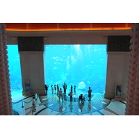 รูปถ่าย สหรัฐอาหรับเอมิเรตส์(United Arab Emirates) ดูไบ(Dubai) โรงแรมแอตแลนติส(Atlantis Hotel) 2014-02 215
