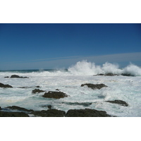 รูปถ่าย แอฟริกาใต้(South Africa) อุทยานแห่งชาติซิตซิคัมมา(Tsitsikamma National Park) 2008-09 120