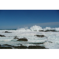 รูปถ่าย แอฟริกาใต้(South Africa) อุทยานแห่งชาติซิตซิคัมมา(Tsitsikamma National Park) 2008-09 380